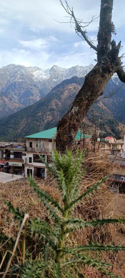 Sahaj Homestay Naddi ดารัมซาลา ภายนอก รูปภาพ