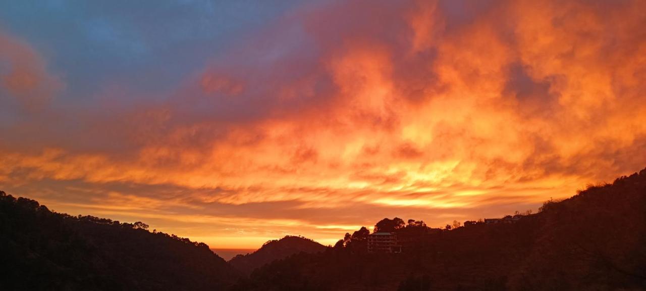 Sahaj Homestay Naddi ดารัมซาลา ภายนอก รูปภาพ
